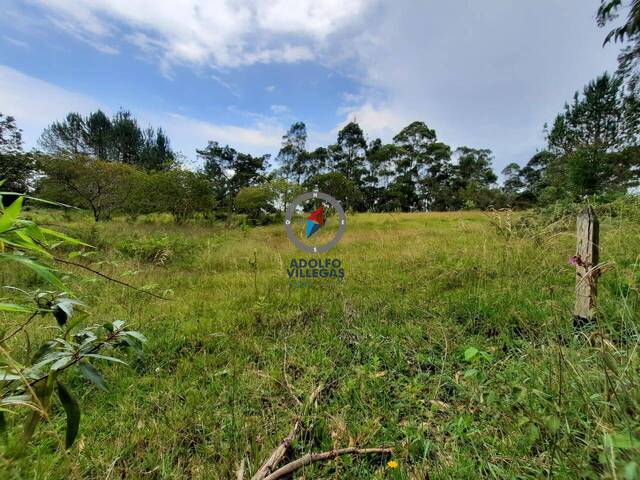 Terreno para Venta en Rionegro - 5
