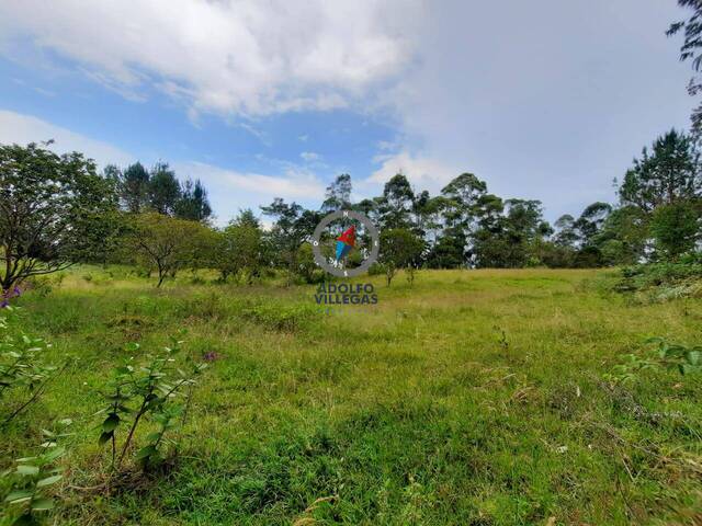 Terreno para Venta en Rionegro - 4