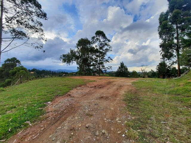 Terreno para Venta en Rionegro - 3