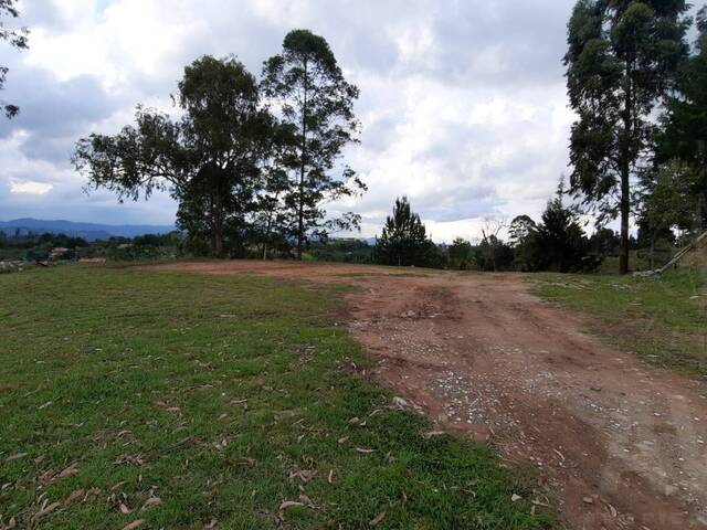 Terreno para Venta en Rionegro - 2