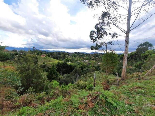 Terreno para Venta en Rionegro - 4