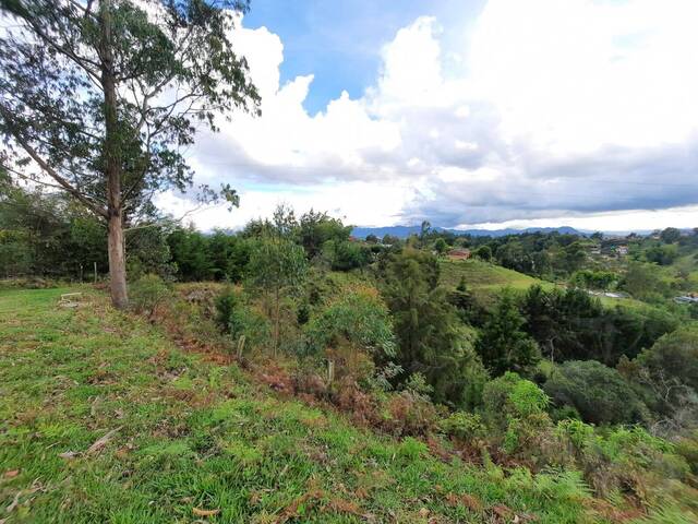 Terreno para Venta en Rionegro - 5