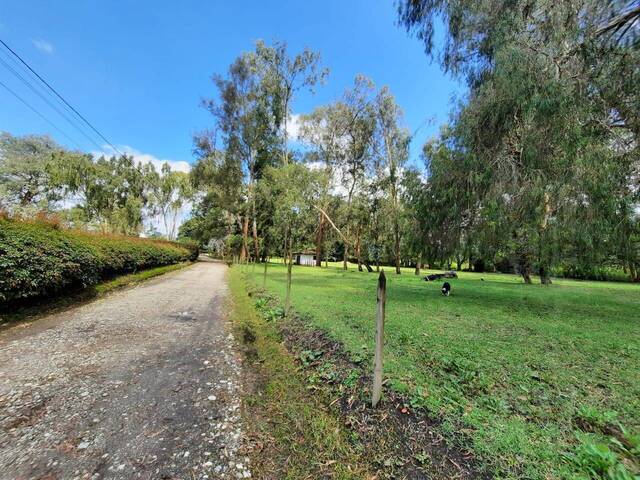 #4007 - Terreno para Venta en Rionegro - ANT - 3