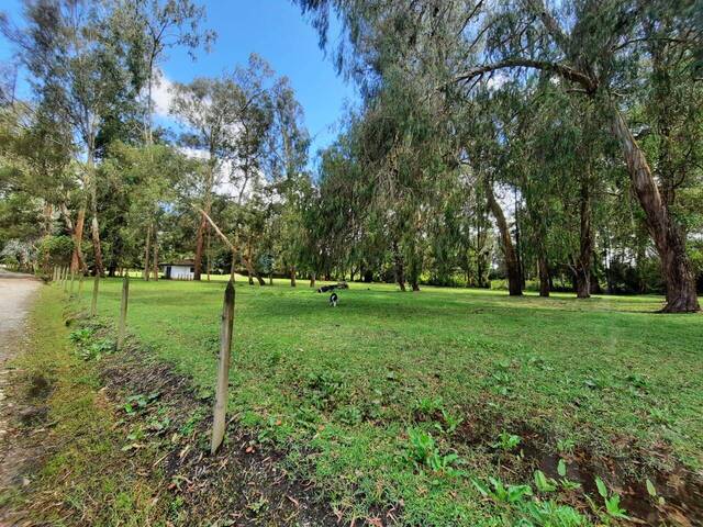 Terreno para Venta en Rionegro - 4
