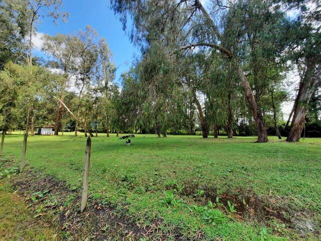 #4007 - Terreno para Venta en Rionegro - ANT - 2