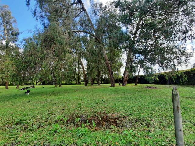 Terreno para Venta en Rionegro - 5