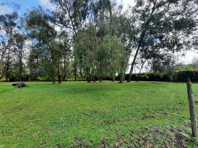 #4007 - Terreno para Venta en Rionegro - ANT - 1