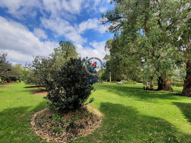 Terreno para Venta en Rionegro - 5