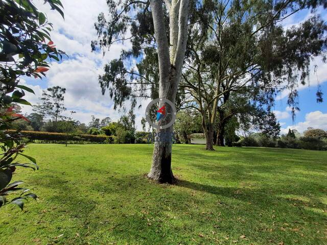 #4008 - Terreno para Venta en Rionegro - ANT - 3