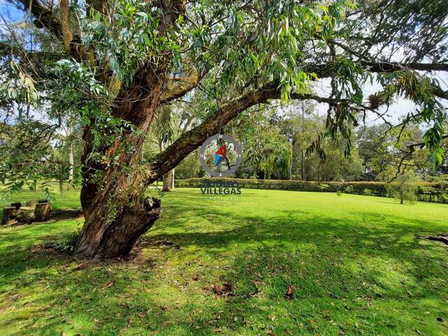 Terreno para Venta en Rionegro - 4