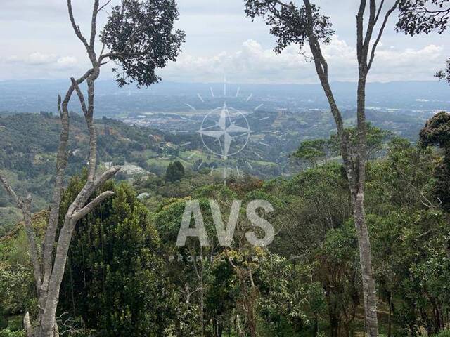 Terreno para Venta en Envigado - 4