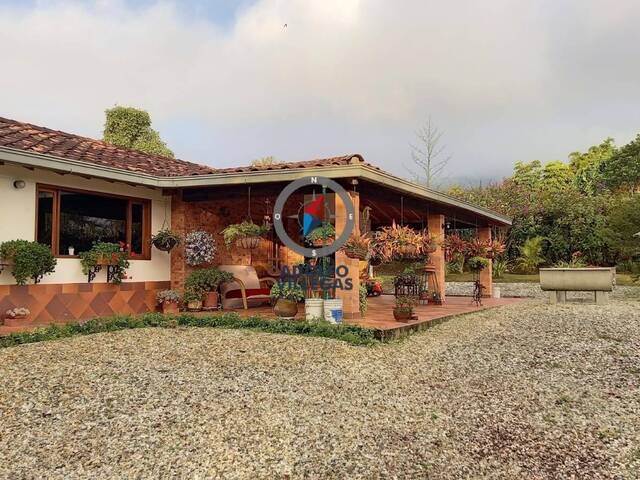 Finca para Venta en La Ceja - 4
