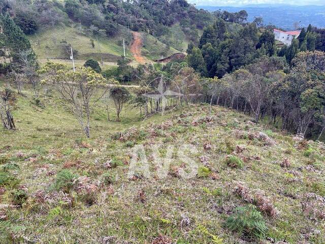 Terreno para Venta en Envigado - 4