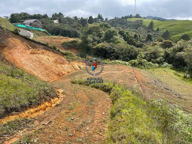 #3969 - Terreno para Venta en Envigado - ANT - 1