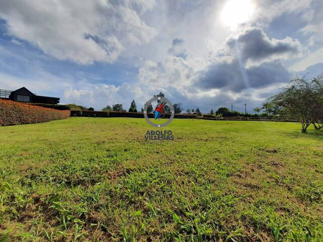Terreno para Venta en Rionegro - 4