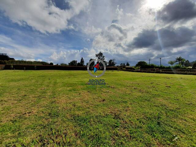 Terreno para Venta en Rionegro - 5