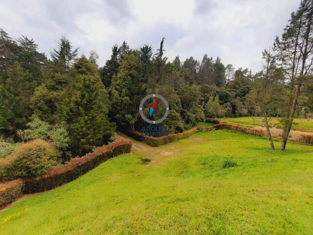 Terreno para Venta en Envigado - 5