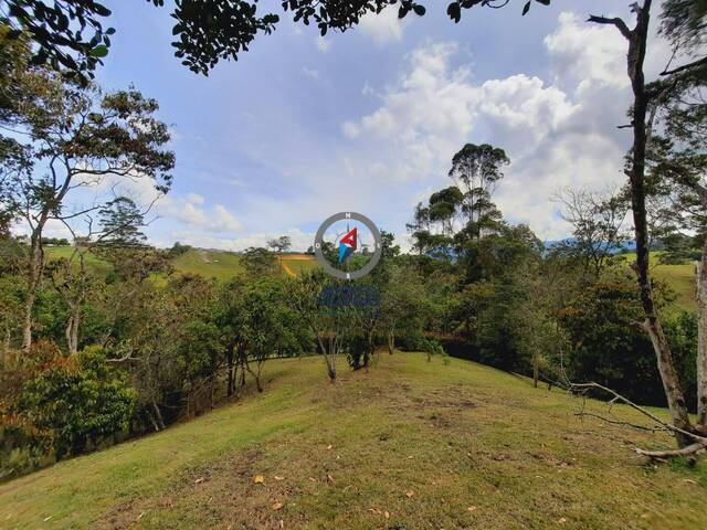 Terreno para Venta en Rionegro - 5