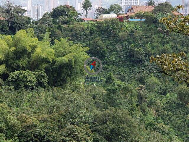 #4076 - Finca para Venta en Medellín - ANT - 2