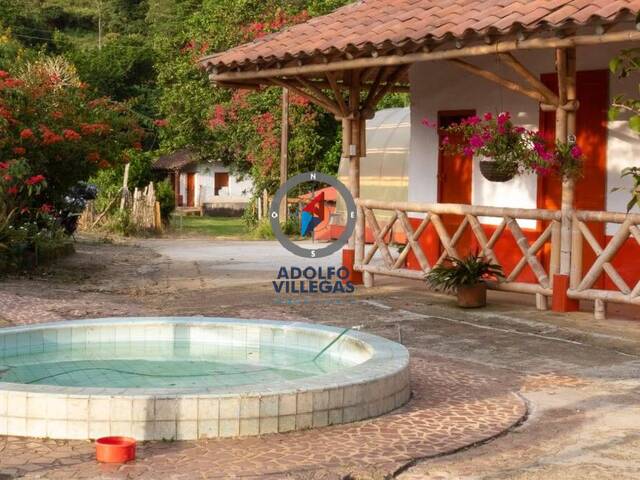 #4076 - Finca para Venta en Medellín - ANT - 3