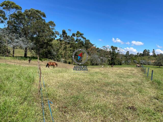 Terreno para Venta en Rionegro - 2
