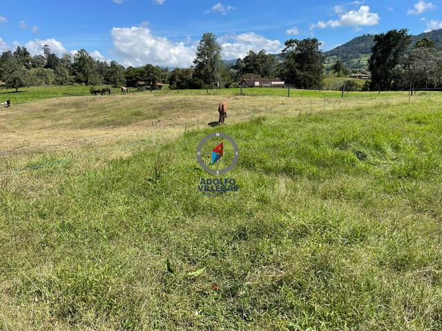 Terreno para Venta en Rionegro - 3