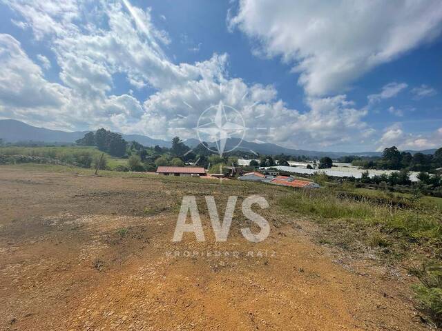 Terreno para Venta en La Ceja - 3