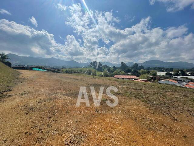Terreno para Venta en La Ceja - 2