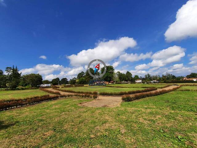 Terreno para Venta en Carmen de Viboral - 5