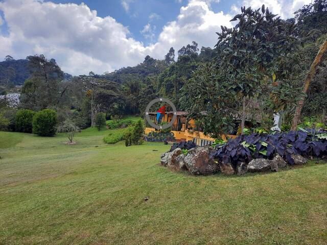 #4084 - Finca para Venta en La Ceja - ANT - 3