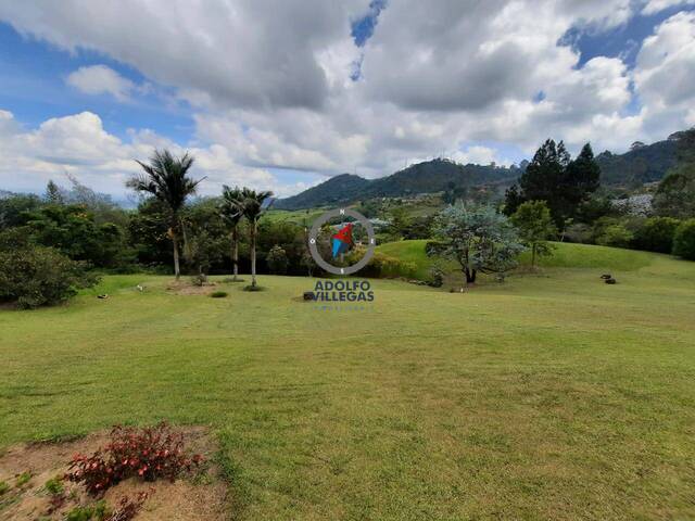 Finca para Venta en La Ceja - 4