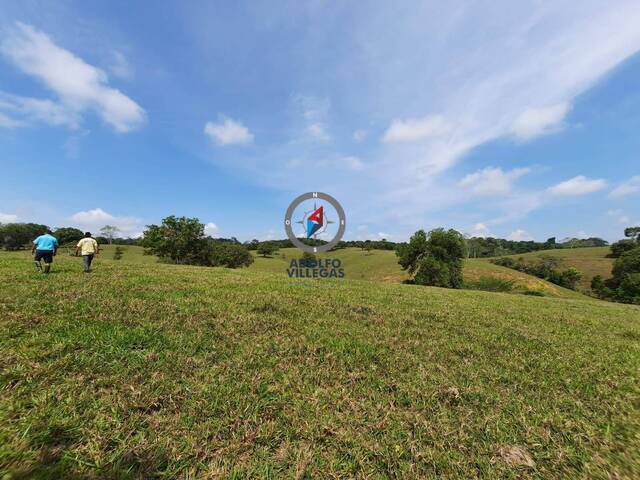 Finca para Venta en Puerto Triunfo - 5