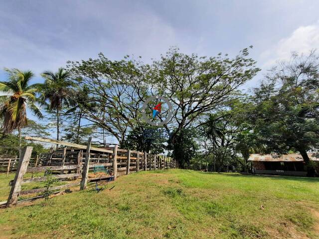 Finca para Venta en Puerto Triunfo - 4
