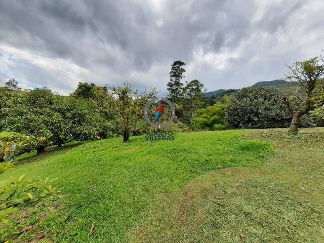 Terreno para Venta en La Ceja - 3