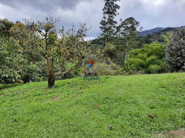 Terreno para Venta en La Ceja - 4
