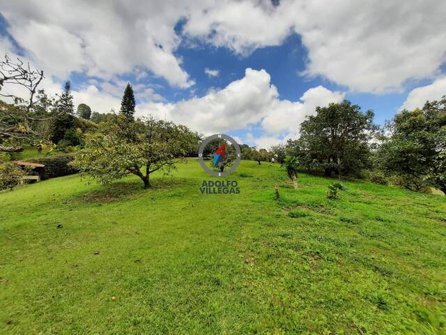 Terreno para Venta en La Ceja - 5