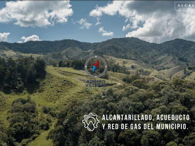 Terreno para Venta en La Ceja - 4