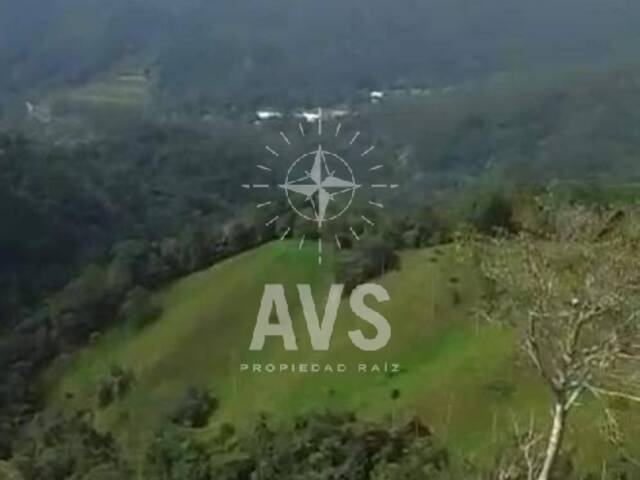 Finca para Venta en San Carlos - 5