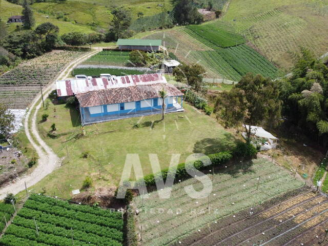 #3922 - Finca para Venta en Santuario - ANT - 1