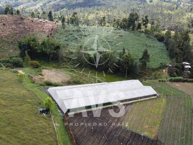 #3922 - Finca para Venta en Santuario - ANT - 3