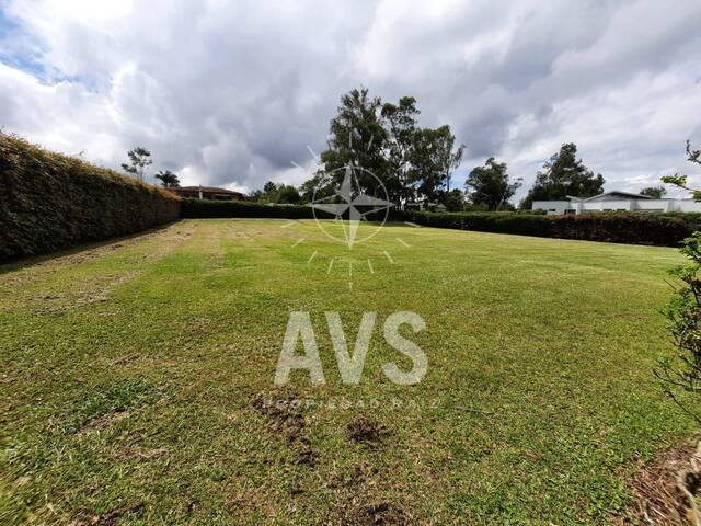 Terreno para Venta en Rionegro - 4