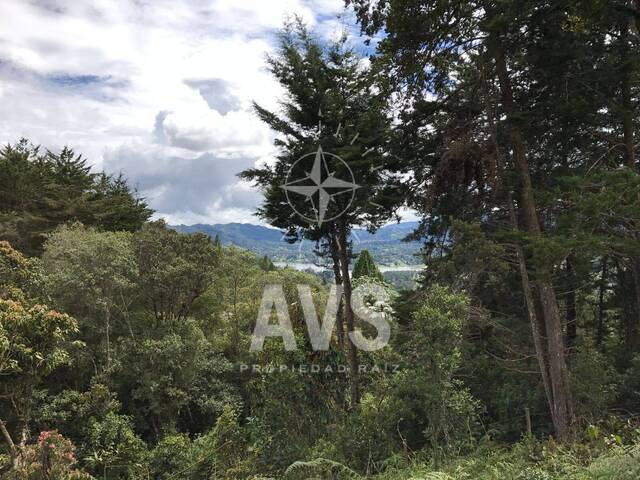#4141 - Terreno para Venta en Retiro - ANT - 3