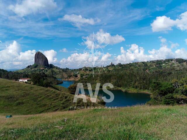 Venta en Vereda La Peña - Guatapé