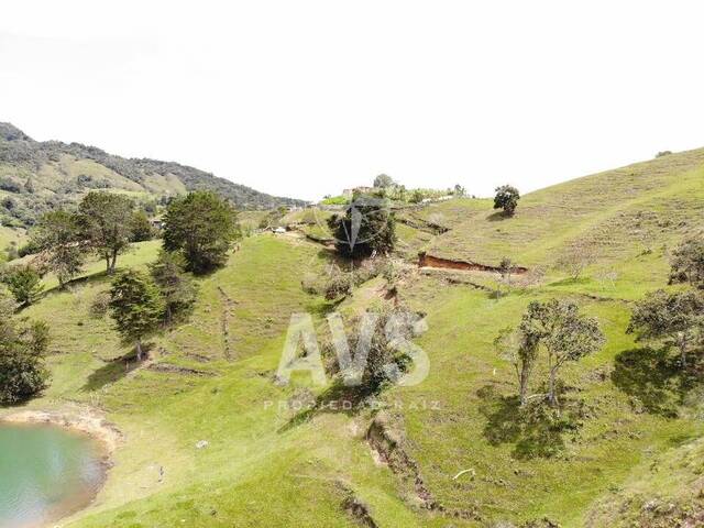 Terreno para Venta en Guatapé - 4
