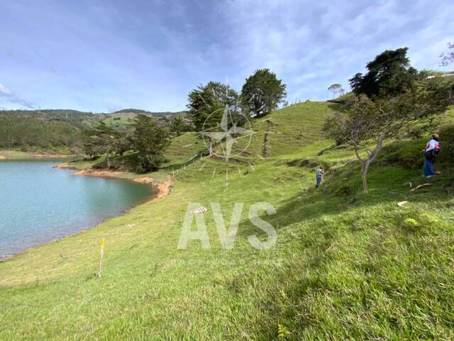 #4153 - Terreno para Venta en Guatapé - ANT - 2