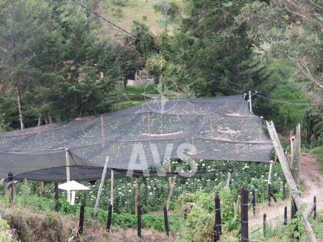 #4158 - Terreno para Venta en Carmen de Viboral - ANT - 2