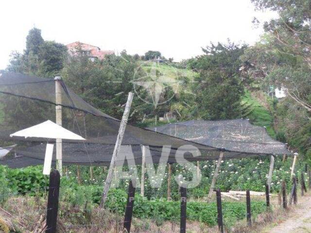 Terreno para Venta en Carmen de Viboral - 4