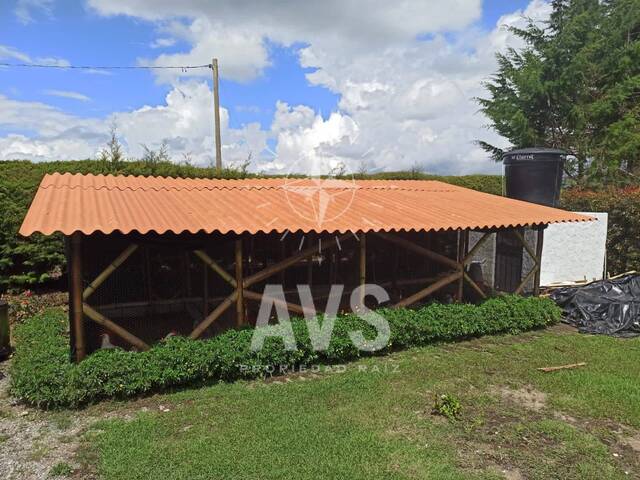 Finca para Venta en Peñol - 4