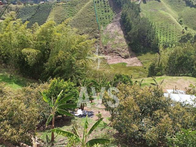 Finca para Venta en Peñol - 5
