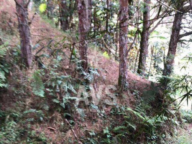 Terreno para Venta en Peñol - 4